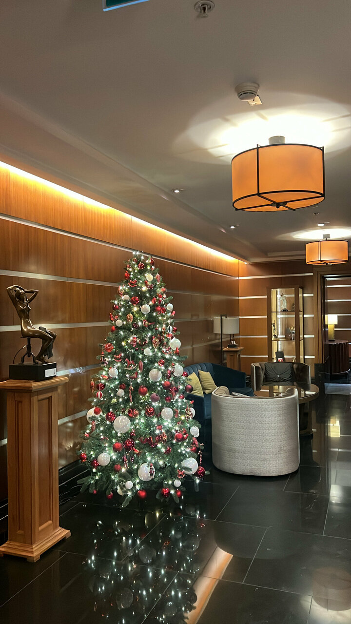 Гостиница Коринтия Санкт-Петербург-167